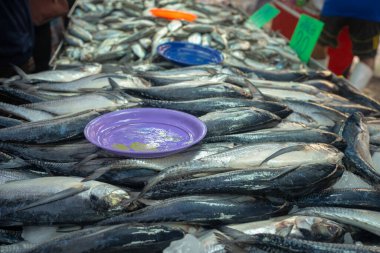 Geleneksel balıkçılık pazarında insanlar deniz mahsülü ton balığı avlıyor.