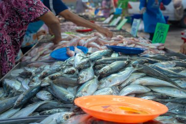 Geleneksel balıkçılık pazarında insanlar deniz mahsülü ton balığı avlıyor.