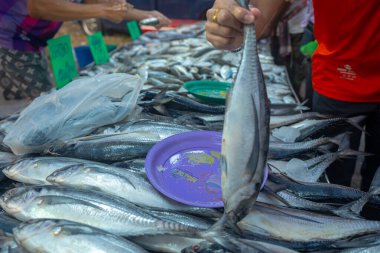 Geleneksel balıkçılık pazarında insanlar deniz mahsülü ton balığı avlıyor.