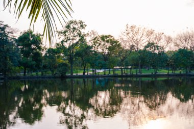 Yeşil ağaç şehrindeki nehir halk parkı günbatımı gökyüzü manzarası