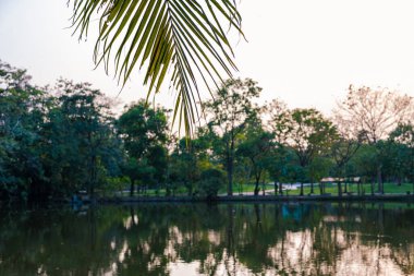 Yeşil ağaç şehrindeki nehir halk parkı günbatımı gökyüzü manzarası