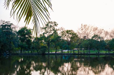 Yeşil ağaç şehrindeki nehir halk parkı günbatımı gökyüzü manzarası