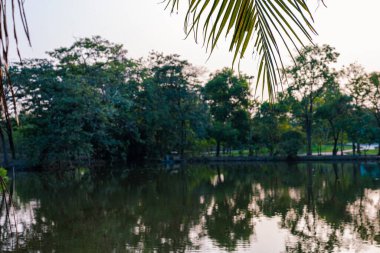 Yeşil ağaç şehrindeki nehir halk parkı günbatımı gökyüzü manzarası