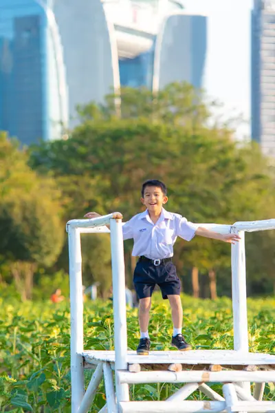 Asyalı okul çocuğu, şehir parkında rahatla, gün batımı, gün batımı, şehir çocuğu.