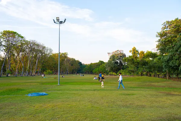Şehir parkında yeşil çayır çim ağacı ormanı