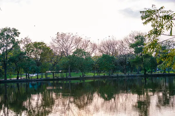 Yeşil ağaç şehrindeki nehir halk parkı günbatımı gökyüzü manzarası
