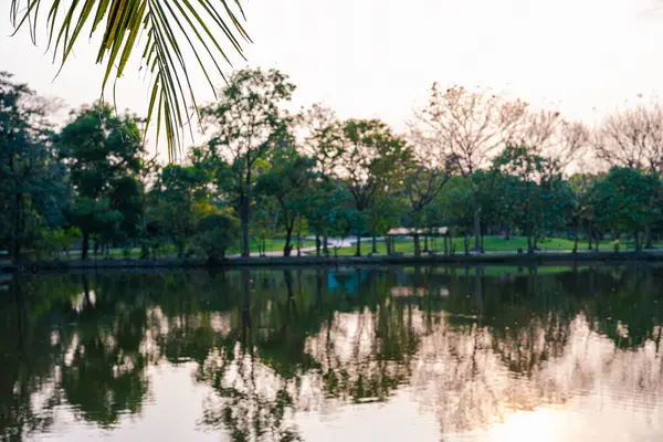 Yeşil ağaç şehrindeki nehir halk parkı günbatımı gökyüzü manzarası