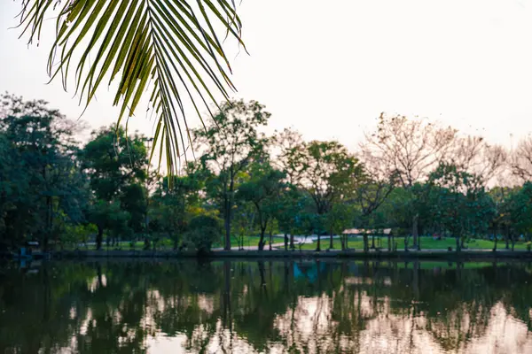 Yeşil ağaç şehrindeki nehir halk parkı günbatımı gökyüzü manzarası