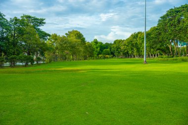 Şehir parkında ağaç ormanı olan yeşil çayır çimen. Gün batımı doğal ışık ve manzara.