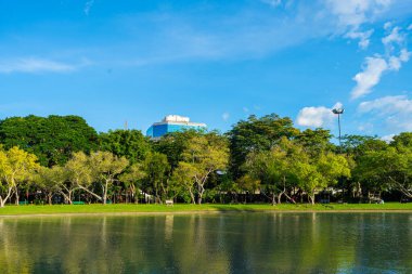 Nehir kenti parkıyla yeşil manzara doğa parkı mavi gökyüzü bulutlu doğa manzarası