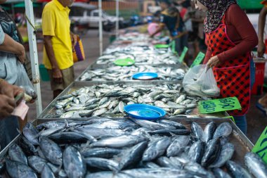 Taze ton balığı çeşitleri geleneksel balıkçılık yerel Asya pazarında Tayland 'da satılıyor.