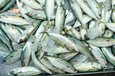 Taze ton balığı çeşitleri geleneksel balıkçılık yerel Asya pazarında Tayland 'da satılıyor.