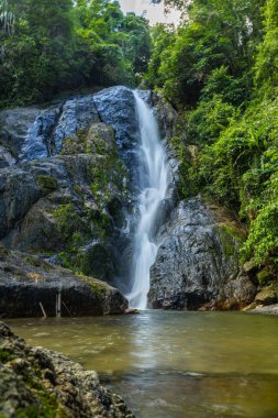 Yeşil yağmurlu ağaç manzaralı derin tropikal yağmur ormanlarında şelale.