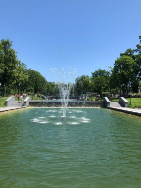 Parkın güzel manzarası