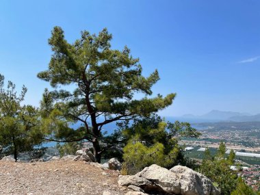 Güzel deniz manzarası