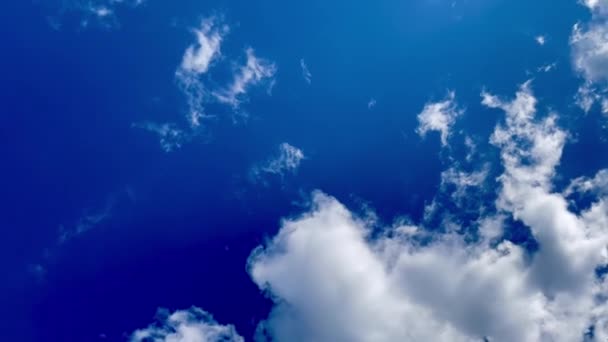 Cielo Azul Con Nubes Vista Del Cielo Desde Abajo Hermosas — Vídeos de Stock