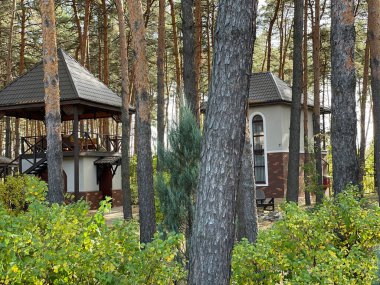 Ev kütüklerden yapılmıştır. Ormanda yeni bir ev konsepti.