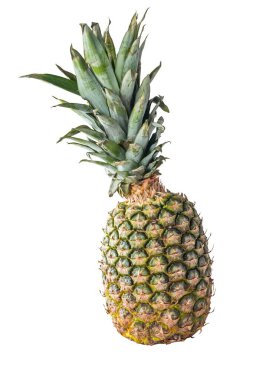 Ripe pineapple and pineapple slices isolated on white background. File contains clipping path. clipart