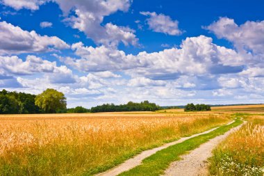 Yol ve alanları ile manzara
