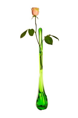 Pink rose in high green vase