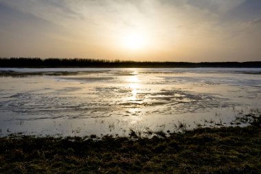 Frozen river bank in winter