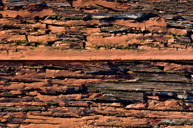 Eski boyaları soyan bir tahta.