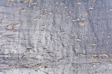 Su yüzeyinde yağlı kirlilik