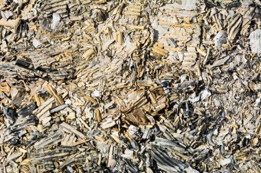 Yanmış kartondan alınan arkaplan