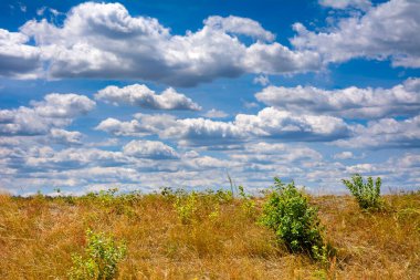 Bulutlar ve ağaçlarla dolu yaz manzarası