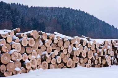 Orman günlüklerinde yığını