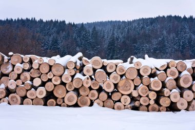 Orman günlüklerinde yığını