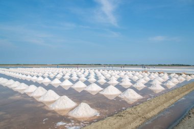 Bir grup işçi açık mavi gökyüzünün altındaki tuz tarlasında deniz tuzu topluyor..
