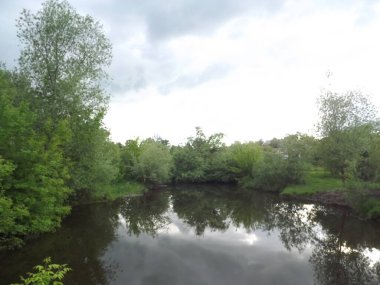 Ormanın ortasında bir nehir.