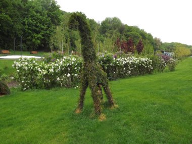 Ağaçlı ve otlu güzel bir manzara.