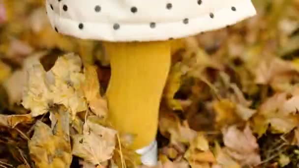Großaufnahme Eines Kindes Orangefarbenen Strumpfhosen Das Auf Gelben Herbstblättern Spaziert — Stockvideo