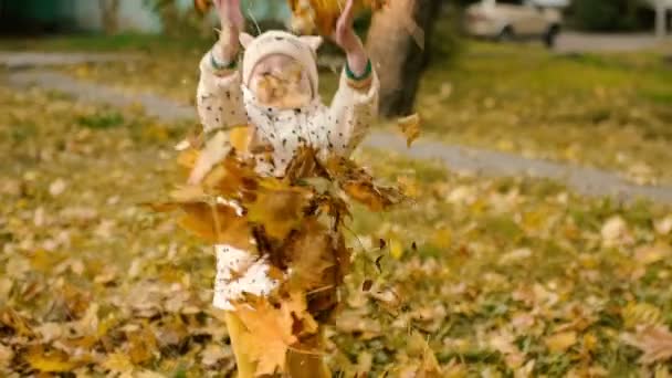 快乐的孩提时代的女孩 戴着一顶帽子 夕阳西下 抛掷着秋天的树叶 慢动作60 Fps — 图库视频影像