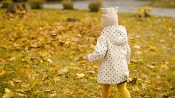 Uma Criança Feliz Foge Câmera Segue Floresta Outono Pôr Sol — Vídeo de Stock