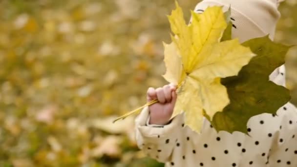 Mooi Wit Kind Meisje Verbergt Haar Gezicht Achter Herfst Bladeren — Stockvideo