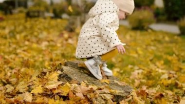 Çocuk sonbahar yapraklarıyla çevrili bir kütüğün üzerinde parkta oturuyor. Harika bir çocukluk.