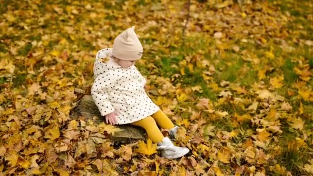 Criança Está Sentada Parque Toco Cercado Por Folhas Outono Uma — Vídeo de Stock