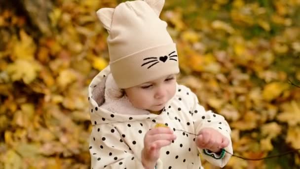 一个小孩对大自然感兴趣 一个小女孩在秋天的森林里 从灌木丛中摘下最后一片黄叶 — 图库视频影像