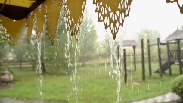 Water Run Closeup Heavy Rain Pour Bad Weather Summer Downpour — Stock Video
