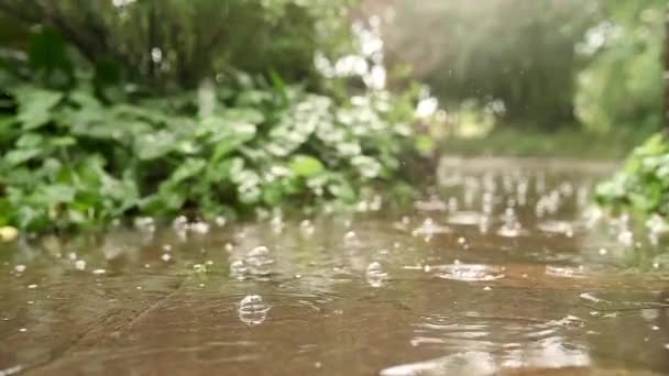 Agua Cae Cascada Cerca Lluvia Intensa Lluvia Condiciones Inclusión Diluvio — Vídeo de stock