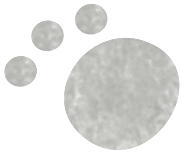 Beyaz arka planda izole edilmiş kurt hayvan temalı karikatür sahnesi - çocuklar için resimleme