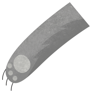 Beyaz arka planda izole edilmiş kurt hayvan temalı karikatür sahnesi - çocuklar için resimleme