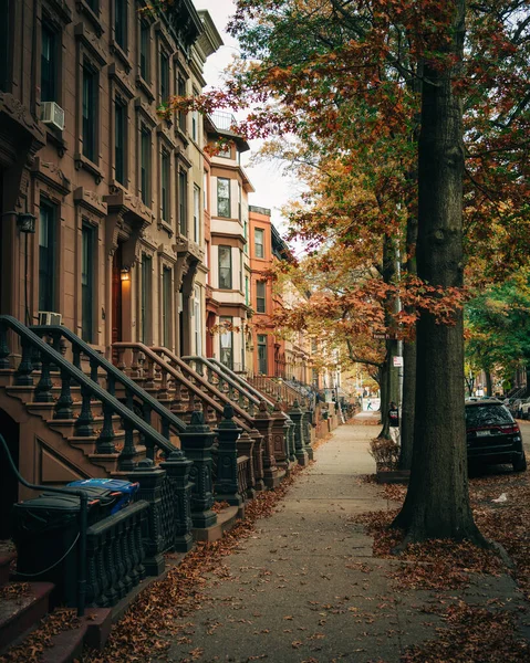 纽约布鲁克林Bedford Stuyvesant美丽的褐石和秋天的色彩 — 图库照片