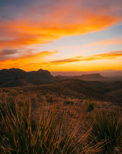 Sunset Kilátás Sotol Vista Kilátás Big Bend Nemzeti Park Texas — Stock Fotó