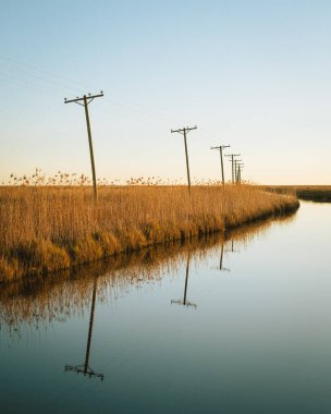 Bataklıktaki elektrik direkleri, Holly Sahili, Louisiana