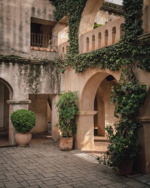 Tlaquepaque, Sedona, Arizona 'da asmalar ve bitkiler