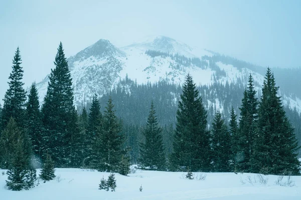 Snöig Bergsscen Montezuma Colorado — Stockfoto